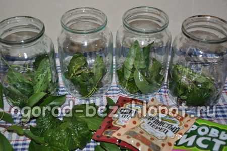 병에 담긴 향신료