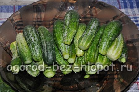 오이를 씻어보자