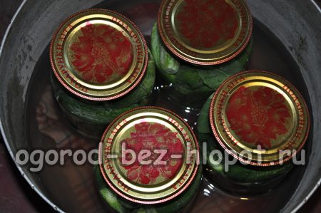 병을 말아 올리자