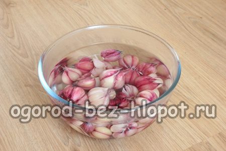 껍질을 벗긴 마늘을 깊은 그릇에 넣고 끓는 물을 부었습니다.