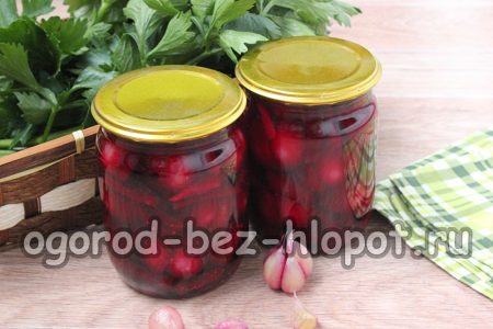 마늘병을 담요에 싸서 완전히 식을 때까지 그대로 둡니다.