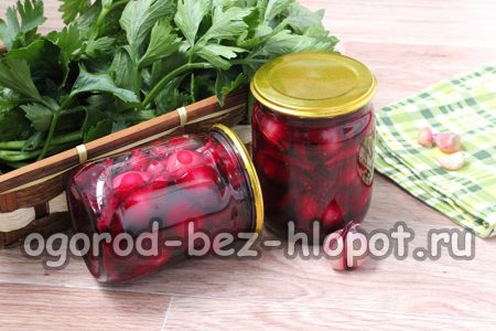 겨울철 절인 마늘