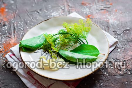 수확을 위한 채소