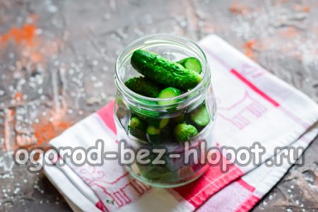 병에 담긴 오이