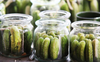 병에 담긴 오이