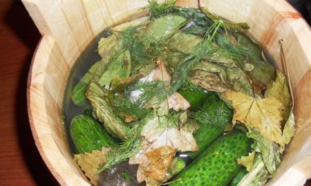 병에 담긴 오이