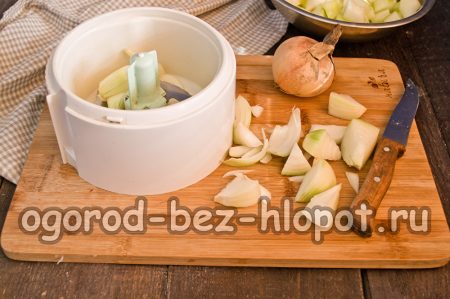 블렌더에 양파를