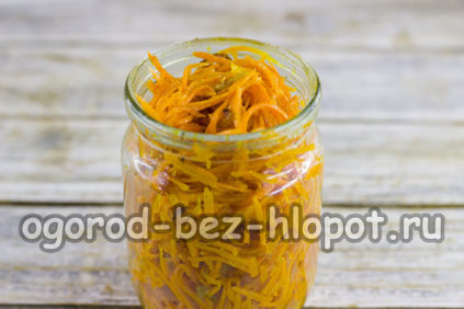 우리는 그것을 병에 담았습니다