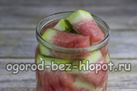 우리는 수박을 채운다