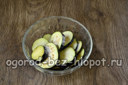 가지에 소금을 뿌린다