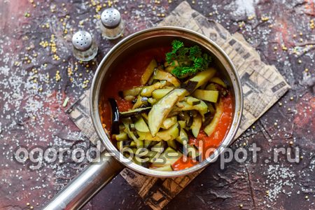 가지를 아지카에 옮기다