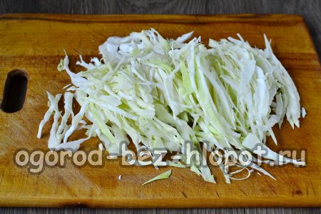 양배추를 잘게 썬다