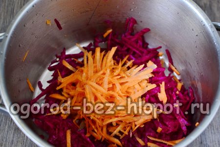 당근과 비트를 자르다