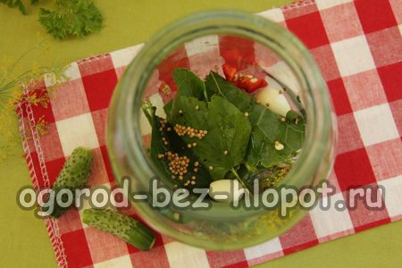 병에 담긴 향신료와 허브