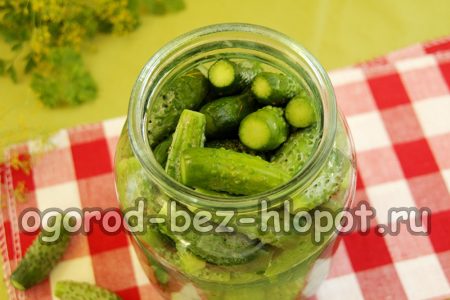 오이를 병에 담다