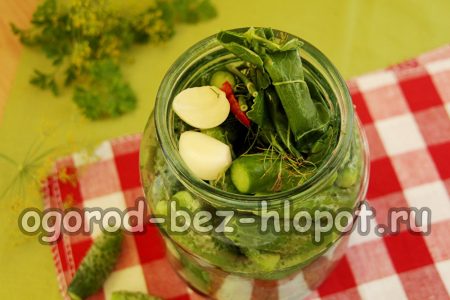 양 고추냉이 잎과 딜을 넣으세요