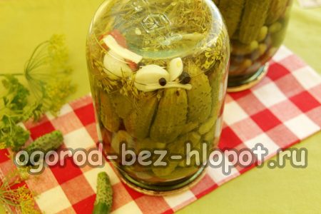 나사의 조임 상태 확인