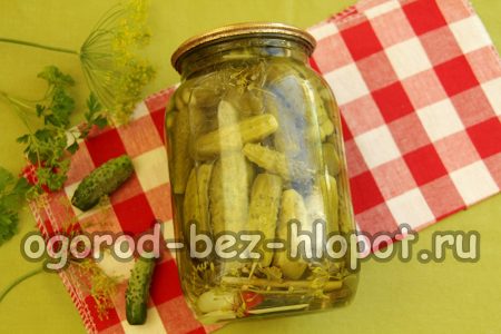 겨울철 바삭한 오이