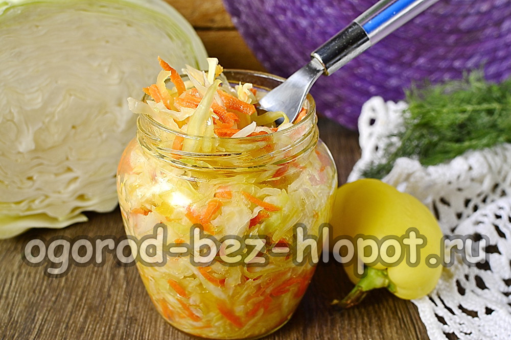 프로방스 양배추