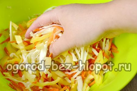 우리는 손으로 양배추를 누른다