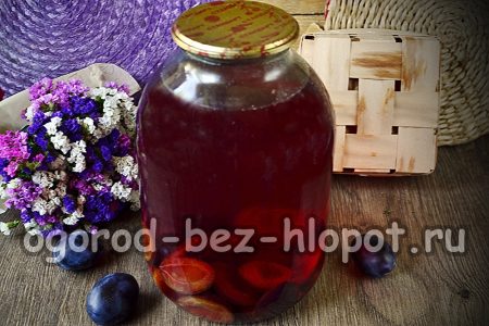 겨울을 위한 자두 콤포트