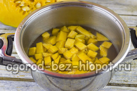 호박에 물을 채우다