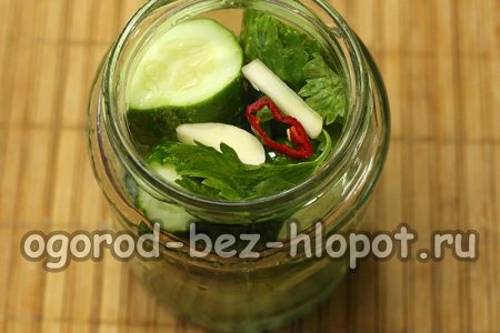 우리는 오이를 항아리에 넣었다