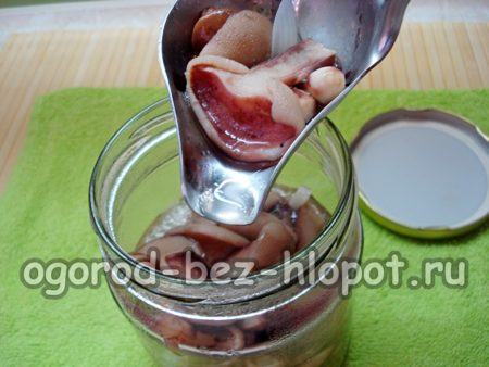 병에 담긴 버터 버섯