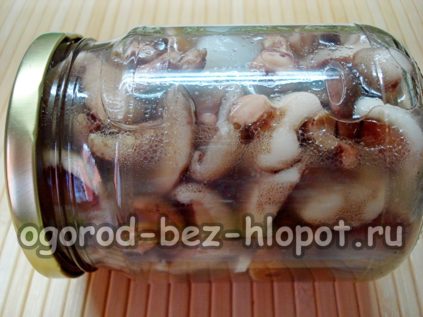 매리네이드에 담긴 볼레투스