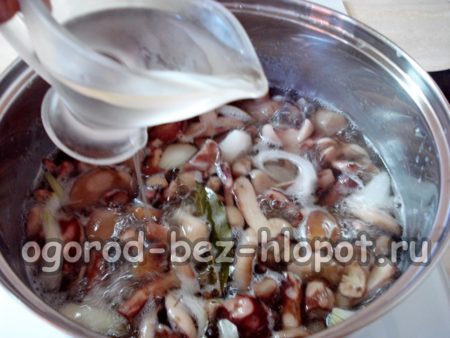 식초를 첨가하다