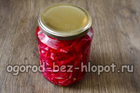 그런 다음 양배추를 깨끗한 병에 넣고 뚜껑을 닫으세요.