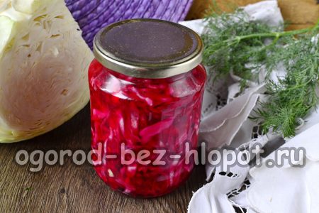 절인 양배추가 완성되었습니다