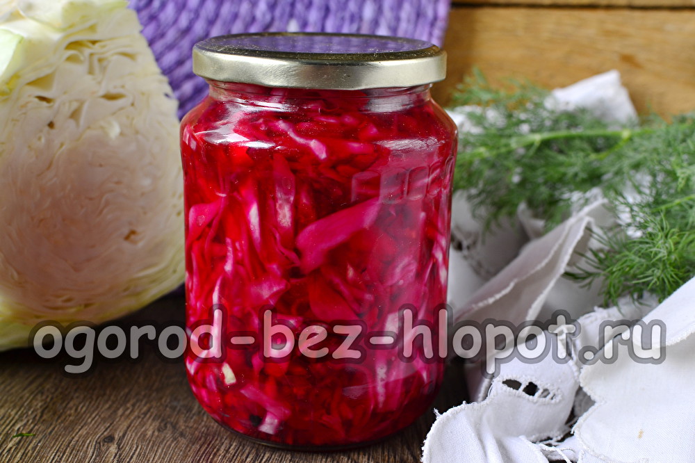 비트와 당근을 곁들인 절인 양배추