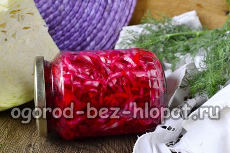 비트와 당근을 곁들인 절인 양배추