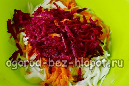 당근처럼 비트를 껍질을 벗기고 씻은 후 갈아줍니다.