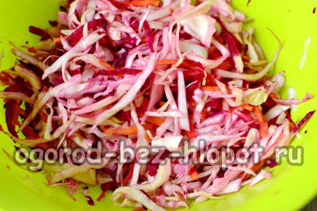 모든 야채를 손으로 섞어서 야채에서 즙이 나오도록 합니다.