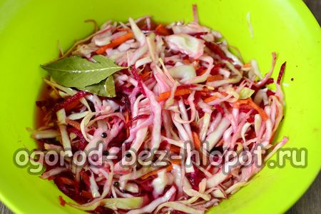 양배추 위에 매리네이드를 붓다