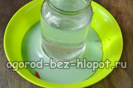 뚜껑을 꼭 닫고 그 위에 물병 같은 것을 올려 놓으세요.