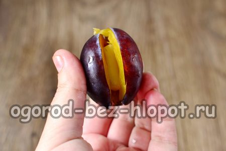 자두의 씨를 제거하다