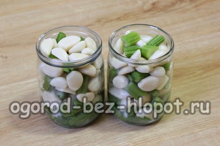 우리는 그것을 항아리에 담았습니다