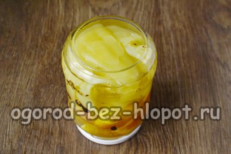 깨끗하고 건조한 병에 야채와 과일을 번갈아 넣고 소금물을 채운 다음 뚜껑을 닫습니다.