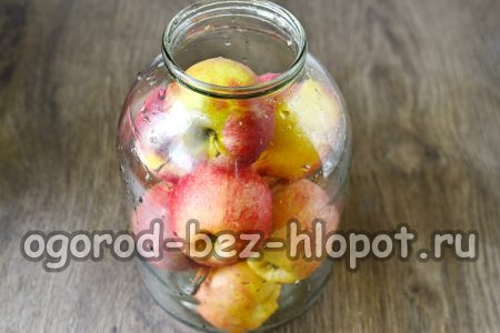 병에 담긴 사과