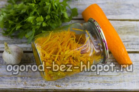 겨울을 위한 준비