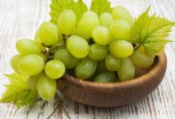 서리에 강한 포도