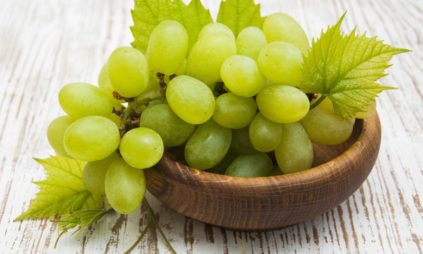 서리에 강한 포도