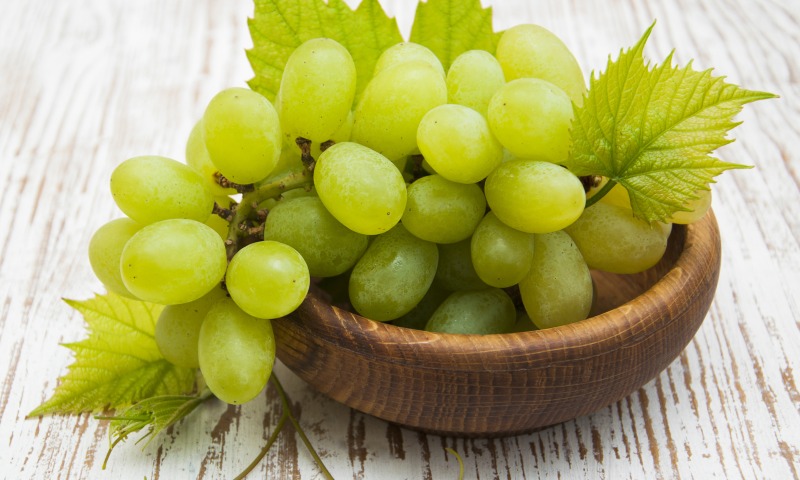 서리에 강한 포도