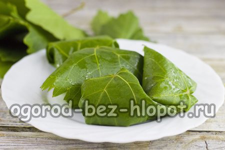 포도잎을 깨끗이 씻어 물기를 뺀 후, 야채를 가운데에 넣고 롤 모양으로 말아줍니다.