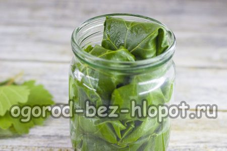 포도 잎에 싸인 오이를 병 바닥에 놓으세요.