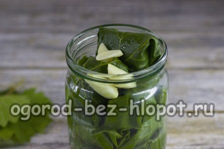 다음 층은 껍질을 벗긴 마늘 정향, 검은 후추, 올스파이스입니다.