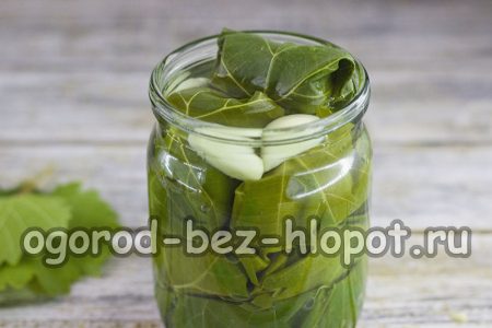 준비된 소금물을 오이 위에 붓습니다.